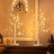2 FT Birch Tree with LED Lights, Warm White Light up Tree Lamp, Fairy Light Spirit Tree for Xmas Indoor Home Table Fireplace Decor, Battery Powered, 6H/18H Timer (2PK)